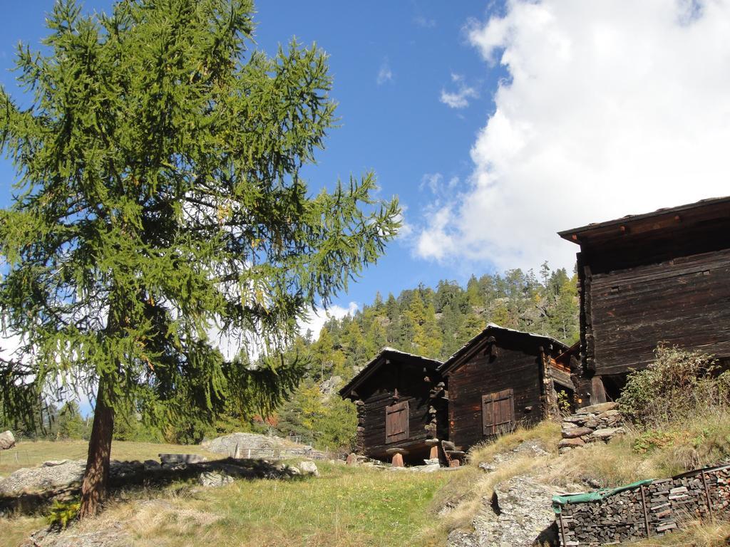 Haus Alpenstern Διαμέρισμα Saas-Grund Εξωτερικό φωτογραφία