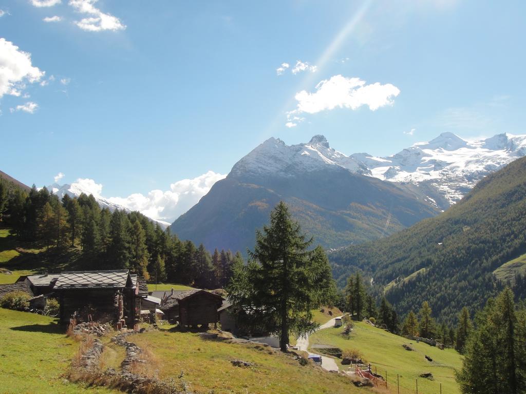 Haus Alpenstern Διαμέρισμα Saas-Grund Εξωτερικό φωτογραφία