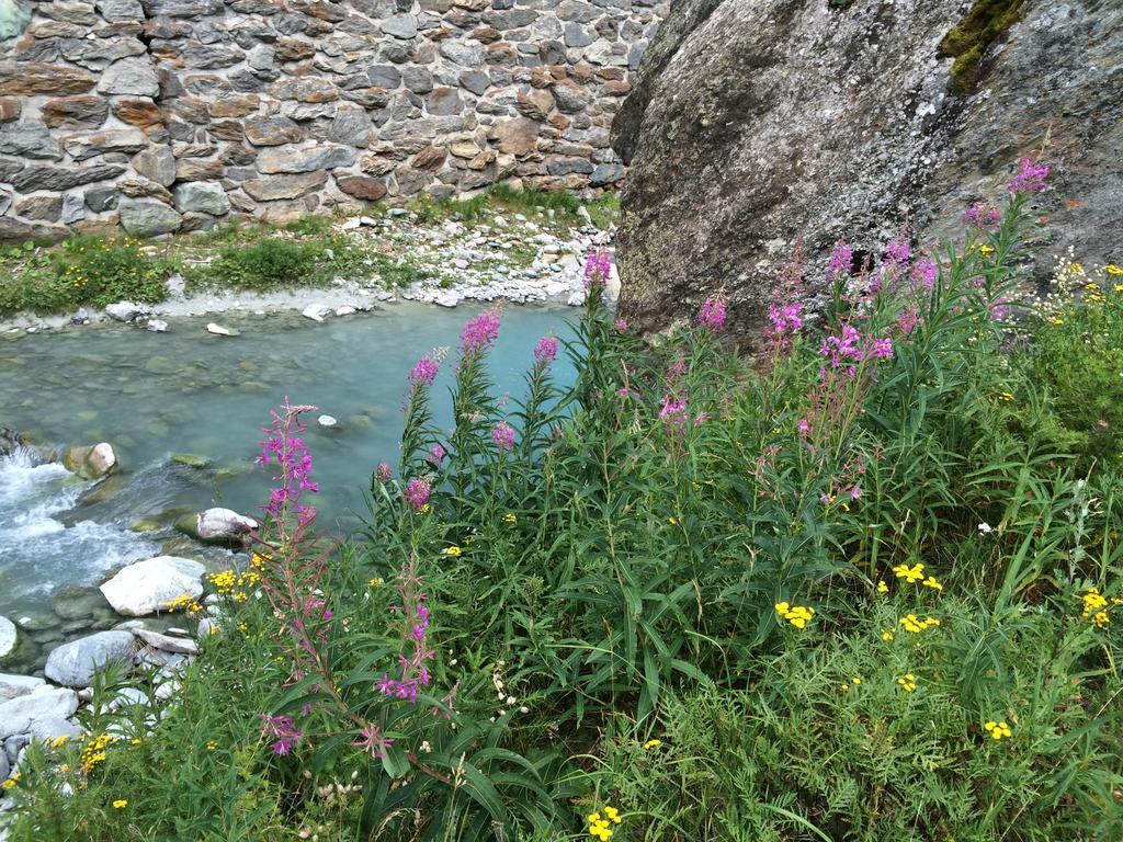 Haus Alpenstern Διαμέρισμα Saas-Grund Εξωτερικό φωτογραφία